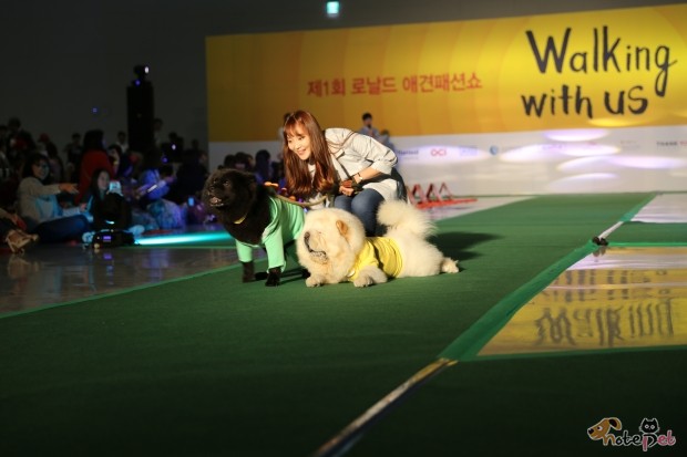 노트펫