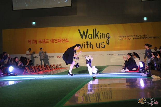 노트펫