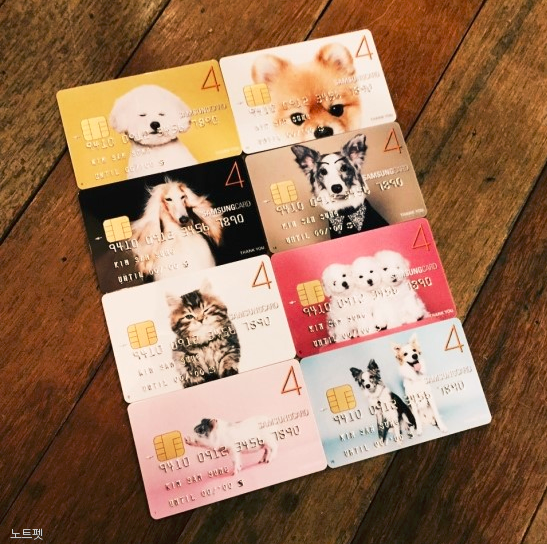 노트펫