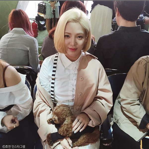 노트펫