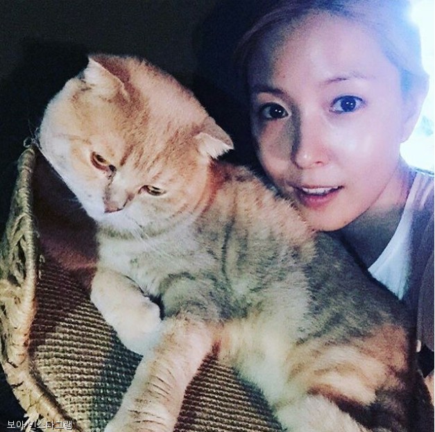 노트펫