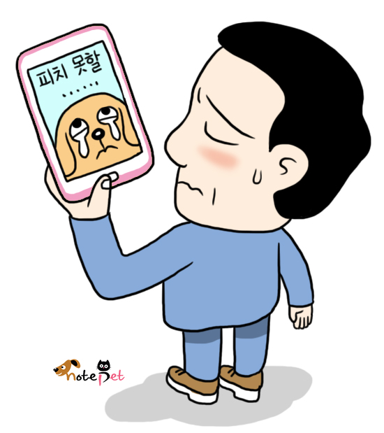 노트펫