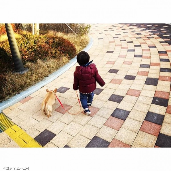 노트펫