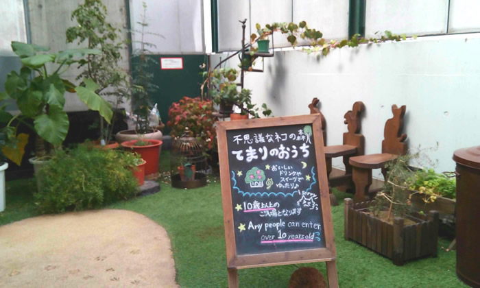 노트펫