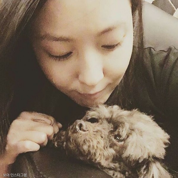 노트펫