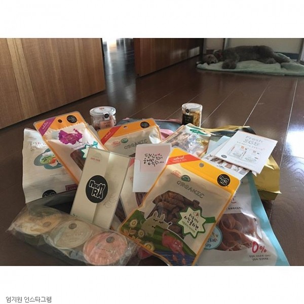 노트펫