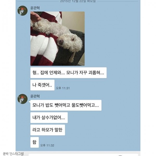 노트펫
