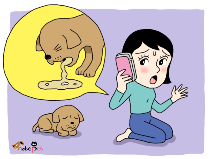 노트펫