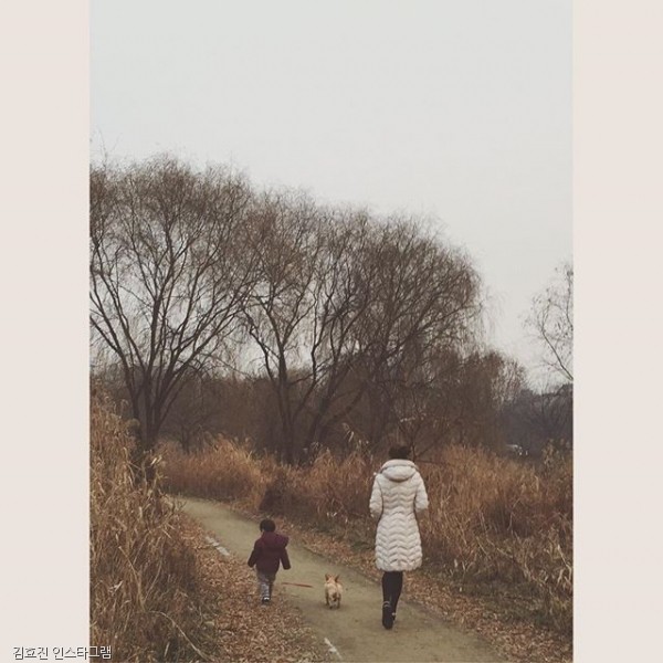 노트펫