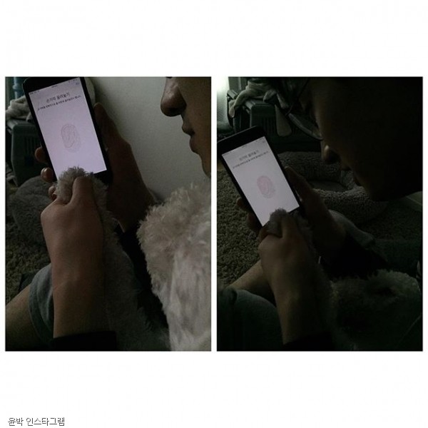 노트펫
