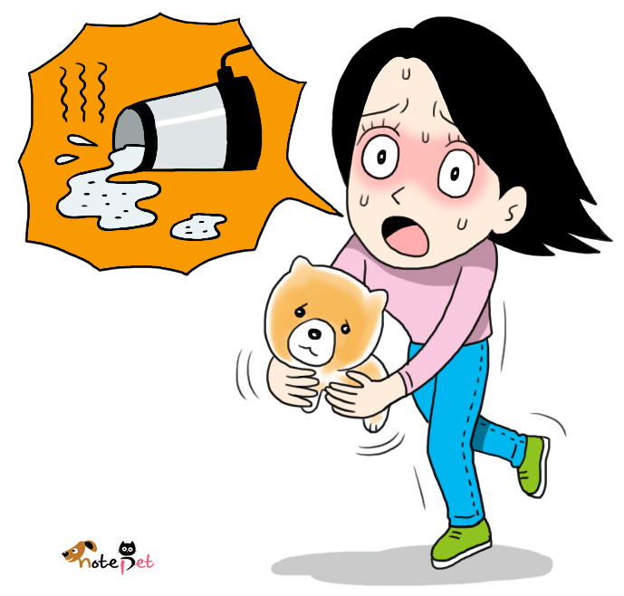 노트펫