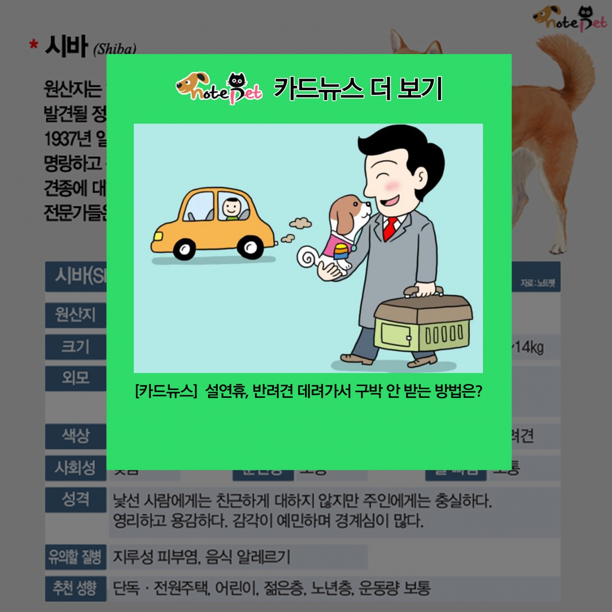 노트펫