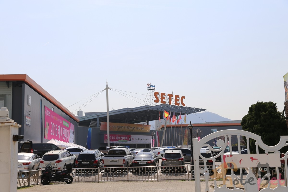 노트펫