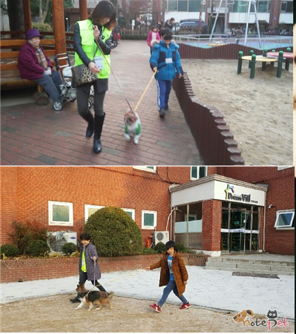 노트펫
