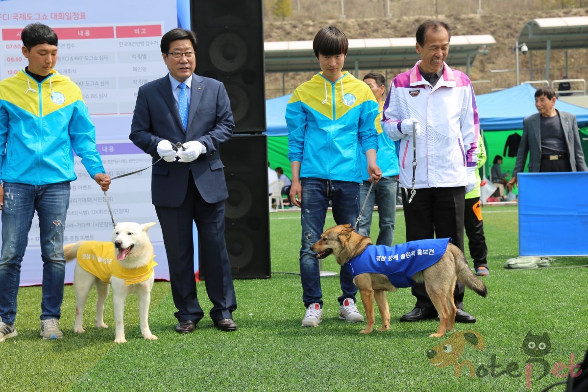 노트펫