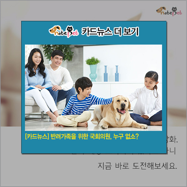 노트펫