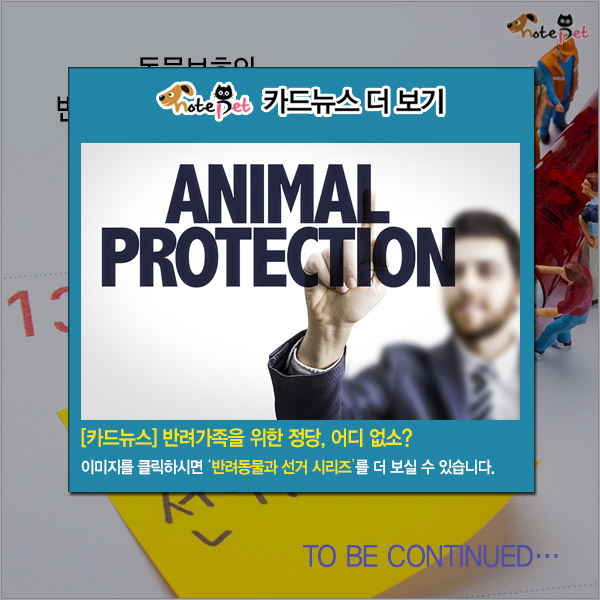 노트펫