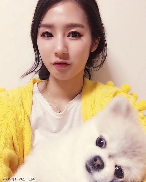 노트펫