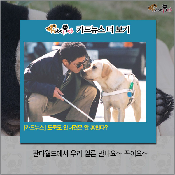 노트펫
