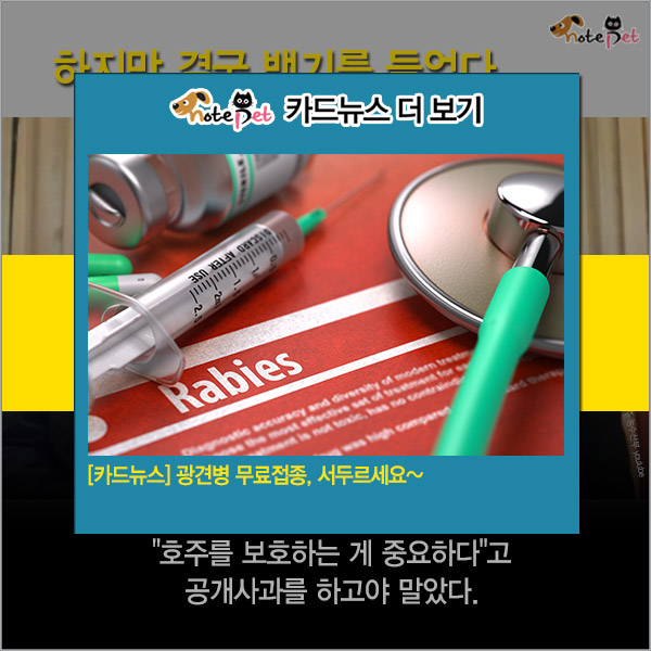 노트펫