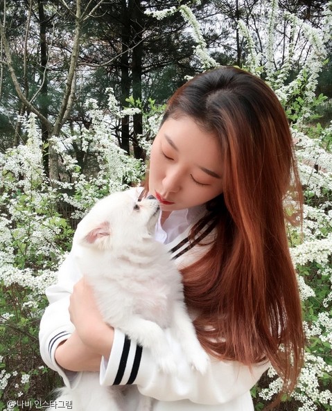노트펫
