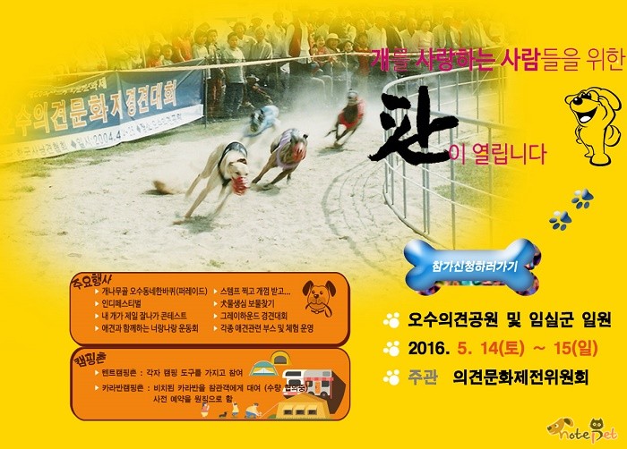 노트펫
