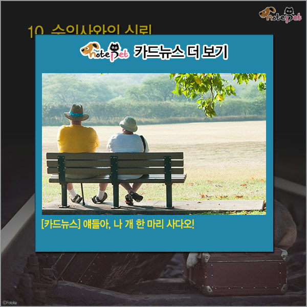 노트펫