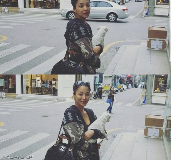 노트펫
