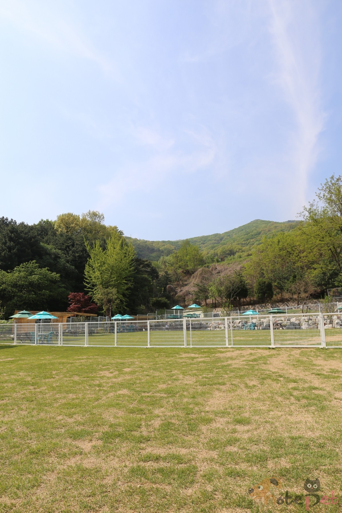 노트펫