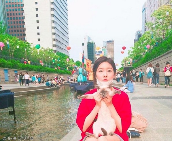 노트펫