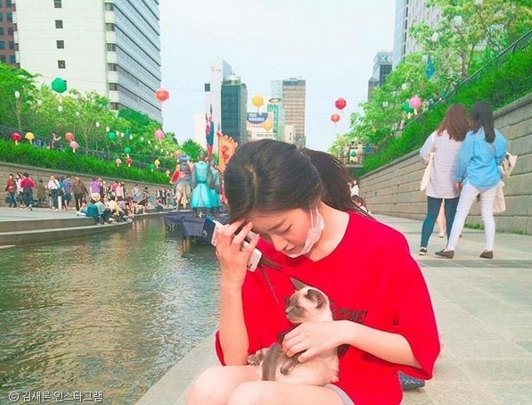 노트펫