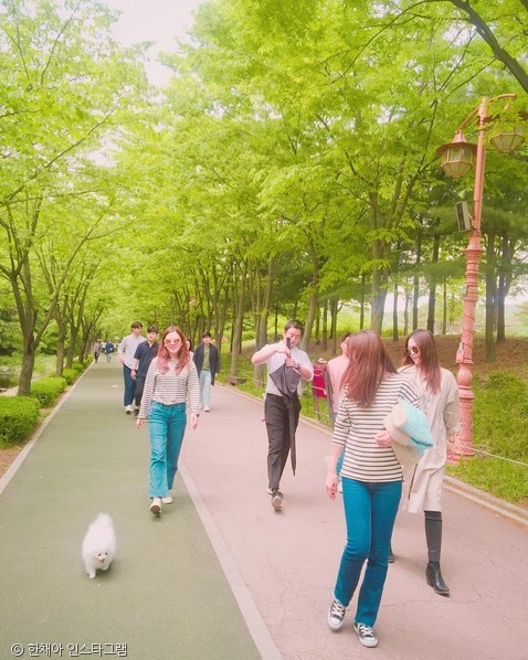 노트펫