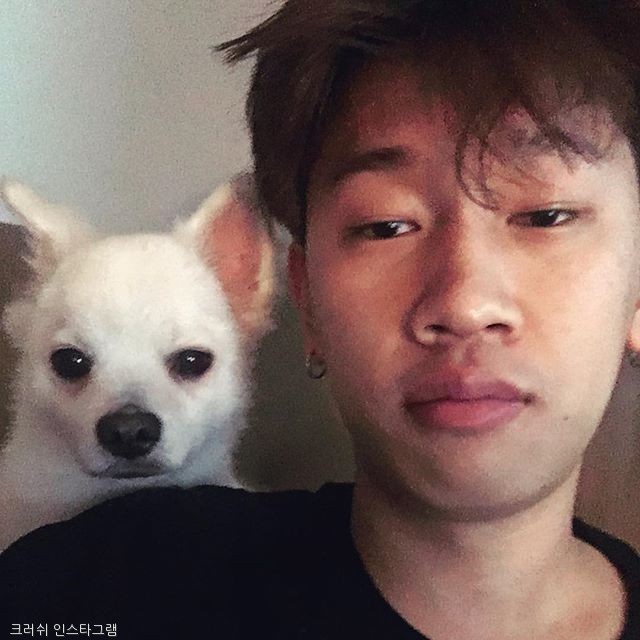 노트펫