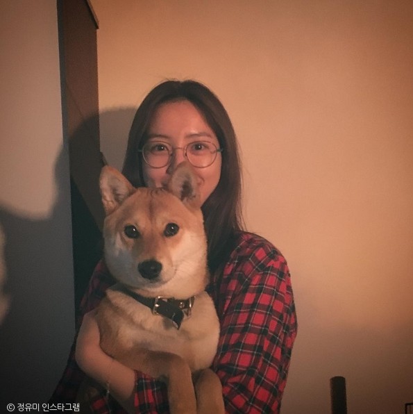 노트펫