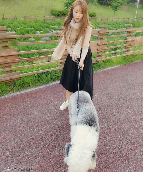 노트펫