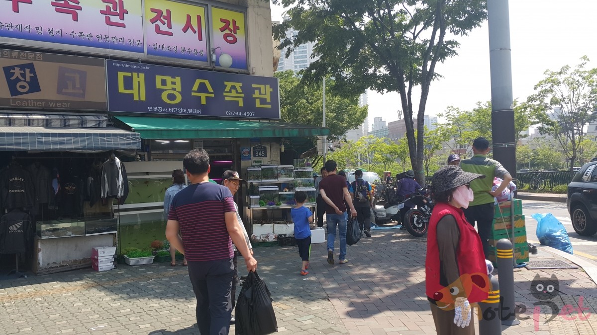노트펫