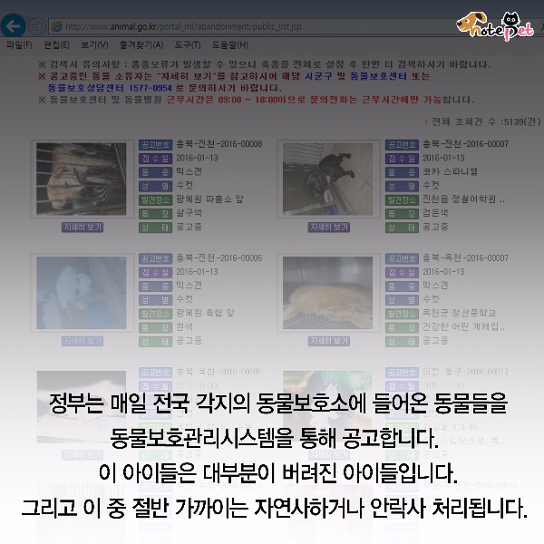 노트펫