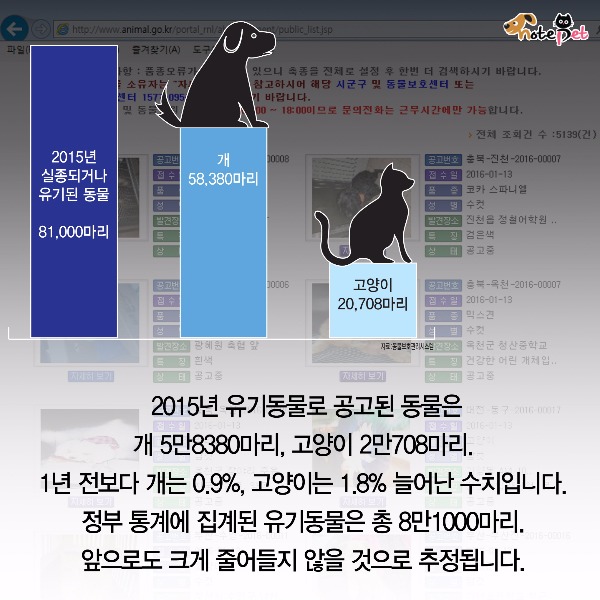 노트펫