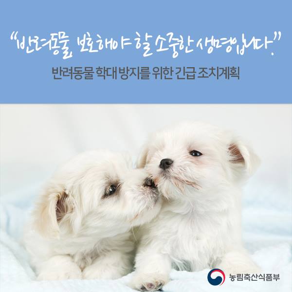 노트펫