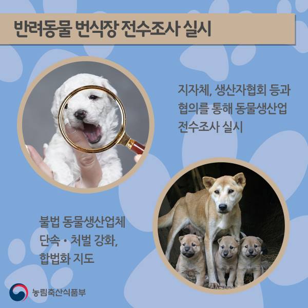 노트펫
