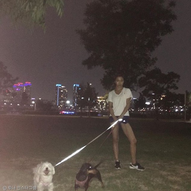 노트펫