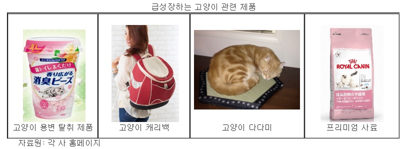 노트펫