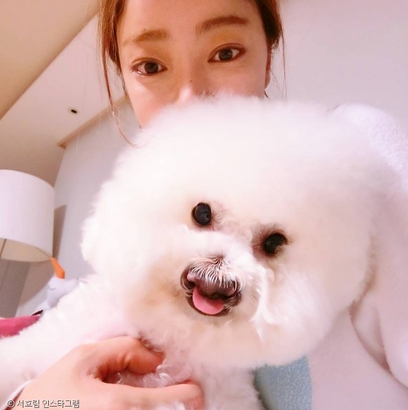 노트펫