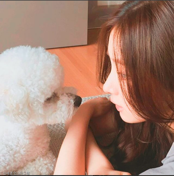 노트펫
