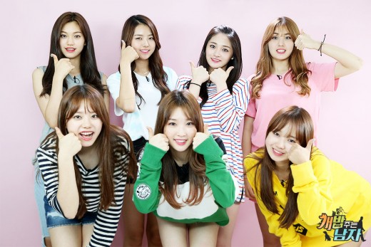 노트펫