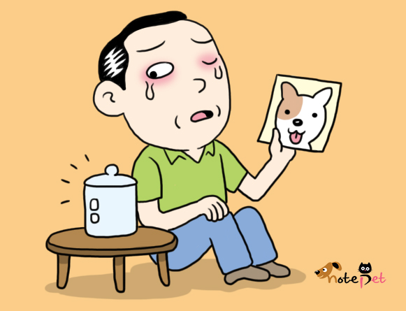 노트펫