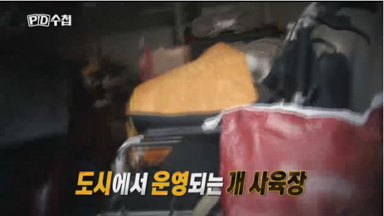 노트펫