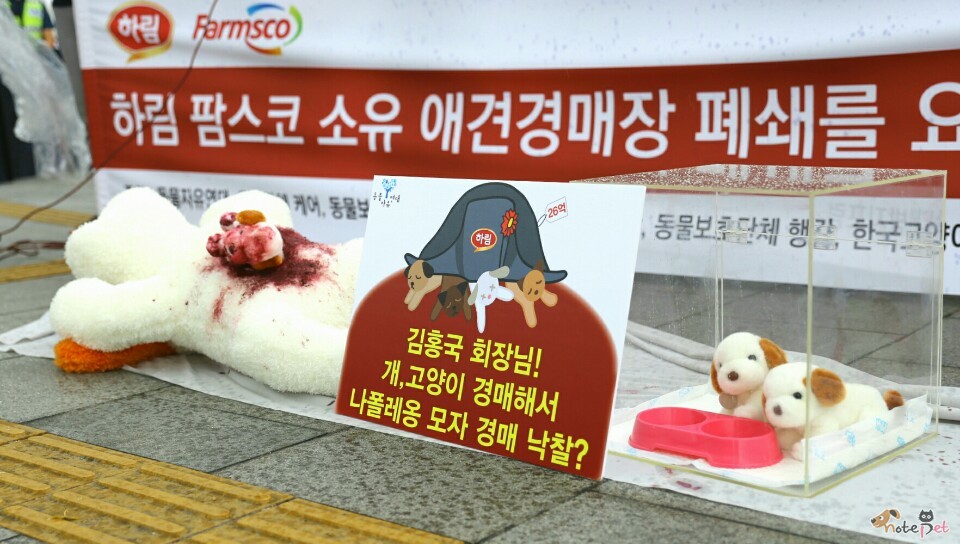 노트펫