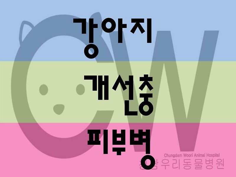 노트펫
