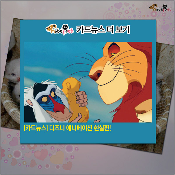 노트펫